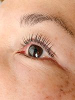 Wimpernlifting/ Wimpern Lifting/ Wimpernwelle/ Lifting/ Wimpern Nordrhein-Westfalen - Sprockhövel Vorschau