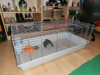 Großer Käfig für Meerschweinchen / Kaninchen Berlin - Neukölln Vorschau