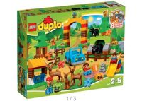 LEGO Duplo großer Wildpark,  Set 10584 Nordrhein-Westfalen - Ruppichteroth Vorschau
