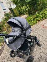 Kinderwagen Daliya Bambino 3in1 Rheinland-Pfalz - Landau-Queichheim Vorschau