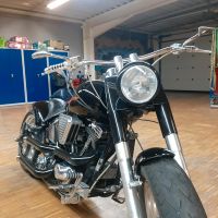 HD Harley Davidson Fat Boy Evo Softail 300er Baden-Württemberg - Sachsenheim Vorschau