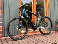 Zündapp Z808 e mtb ebike pedelec mountainbike fahrrad elektro M L Niedersachsen - Springe Vorschau