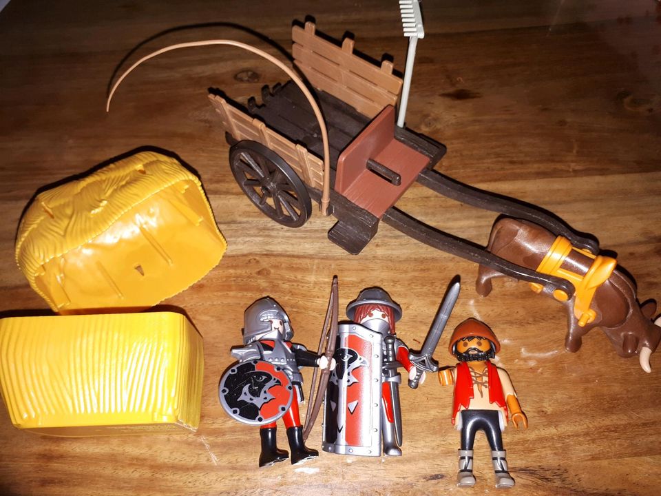 Playmobil Tarnkutsche Falkenritter in Panitzsch