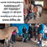 Hufe, Hufbearbeitung, DIfHO, Huforthopädieschule in AT Kr. Passau - Passau Vorschau