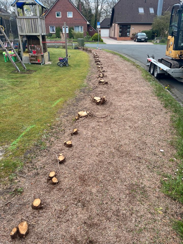 Baggerarbeiten / Hecken Entfernen / Wurzeln ausbaggern in Ihlow