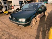 Schlachtfest Volkswagen Golf 4 Autoverwertung Langbein Sachsen-Anhalt - Sangerhausen Vorschau