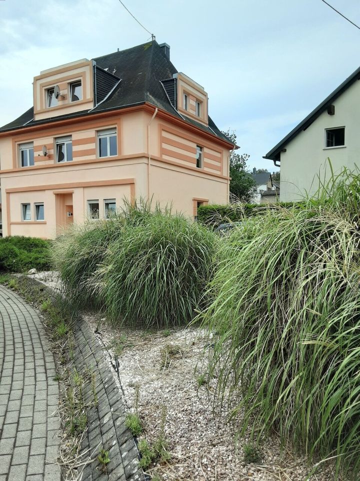 Schöne,freistehende Immobilie mit 3 Wohneinheiten in ruhiger Wohnlage von Spiesen - Elversberg zu verkaufen in Spiesen-Elversberg