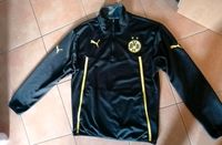 Puma BVB Dortmund Zip-Shirt/Zipper Gr.M   35€ Berlin - Mahlsdorf Vorschau