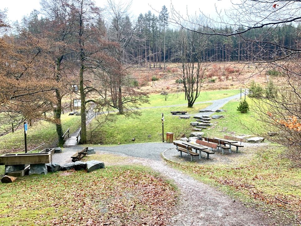 12 Tägige Kinder und Jugendfreizeit in Willingen All inklusive in Hinte