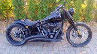 Harley Davidson Softail Slim Cvo 110 Abs Baden-Württemberg - Reutlingen Vorschau