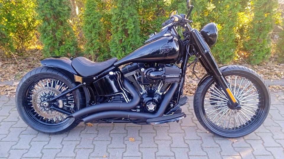 Harley Davidson Softail Slim Cvo 110 Abs in Reutlingen