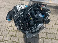 Audi SQ5 3,0 TDI DEW Motor Triebwerk Engine Nordrhein-Westfalen - Dorsten Vorschau