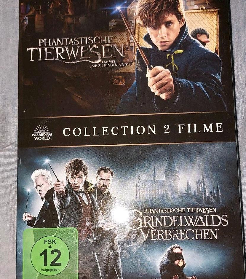 DVD, Blu Ray Konvolut in Ehrenburg