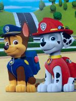 Paw Patrol Ravensburger Puzzle (3x49 Teile) (NEUWERTIG) Beuel - Vilich Vorschau