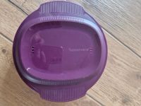 TUPPERWARE Mikrowelle Micro Healthy Delight 775 ml lila großer Om Saarland - Rehlingen-Siersburg Vorschau