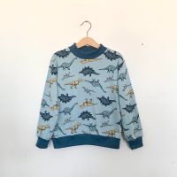 NEU Etsy Dino Dinosaurier Kinder Jungen Pullover Langarm-Shirt Leipzig - Sellerhausen-Stünz Vorschau