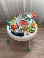 Fisher Price Sit-to-Stand 2 in 1 Activity center Ricklingen - Wettbergen Vorschau