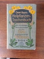 Oertel-Bauer's Heilpflanzen-Taschenbuch von 1928 Bayern - Augsburg Vorschau