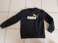 Sweatshirt Puma 164  Versand möglich Niedersachsen - Sottrum Vorschau