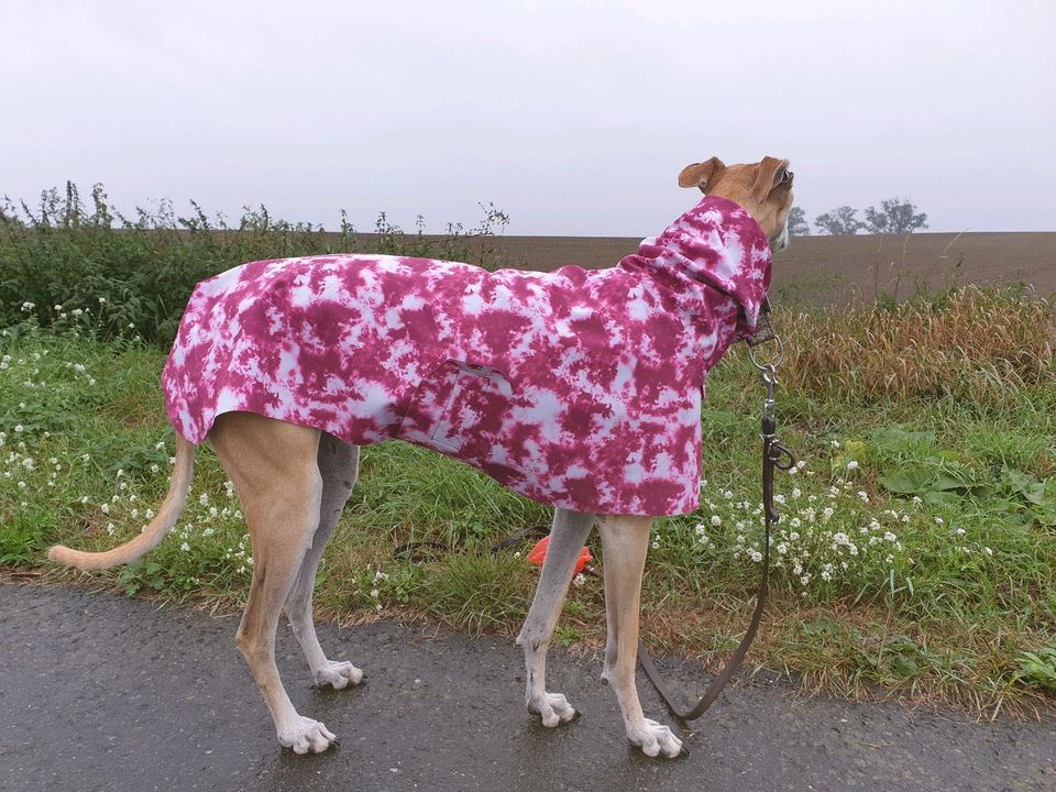 Windhundmantel Softshell Galgo in Ahrensfelde