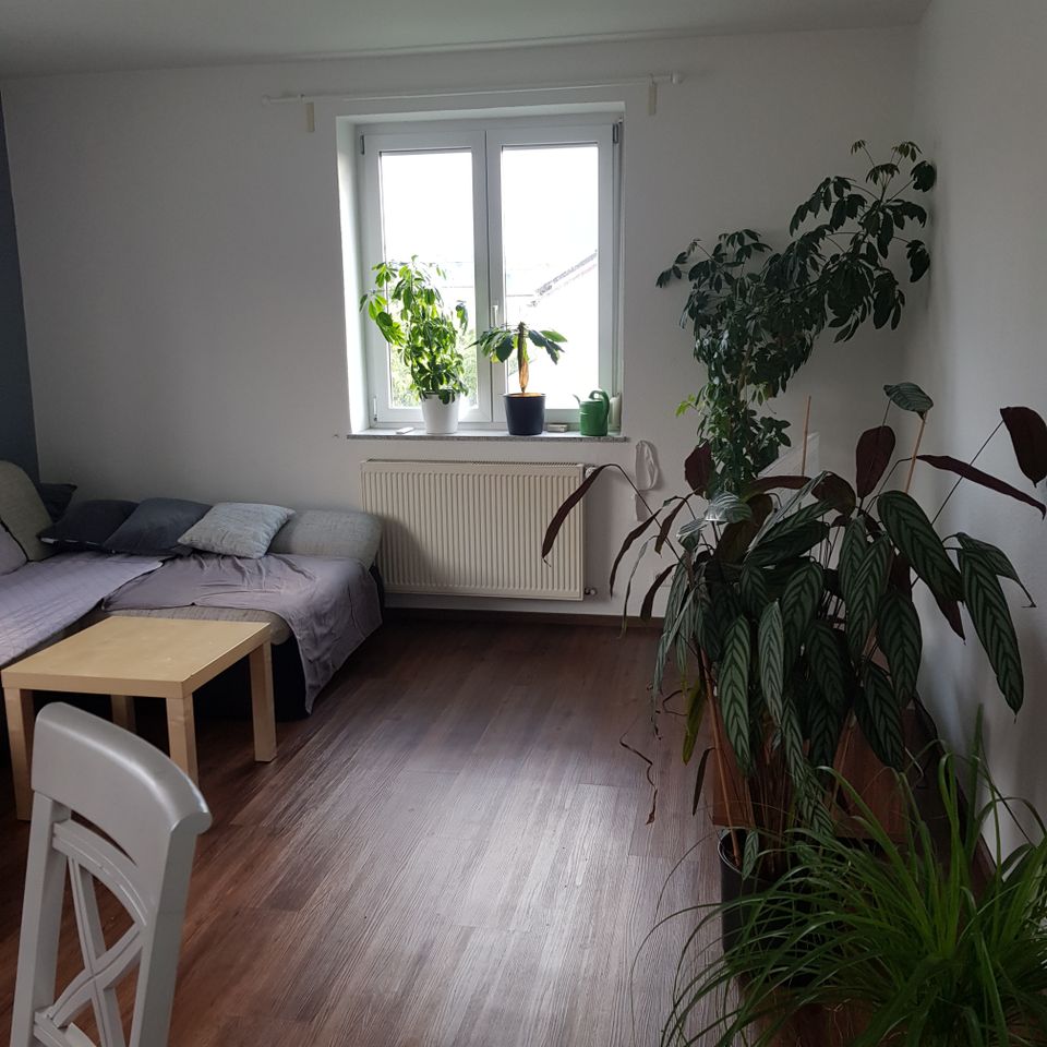 2-Zimmer Wohnung in Waiblingen