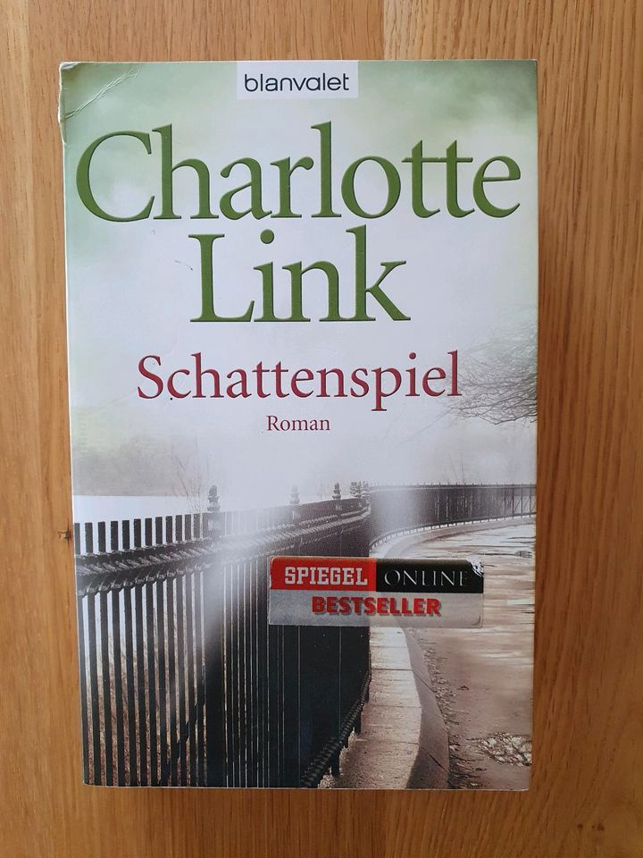 Charlotte Link - Schattenspiel in Warburg