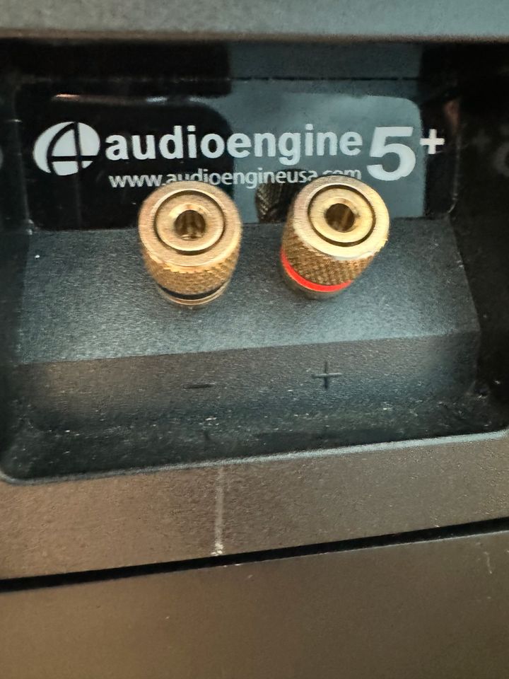 audioengine 5+ in Wuppertal