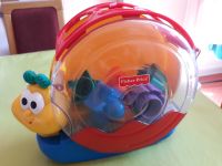 Spielschnecke von Fisher Price mit Geräuschen,  Steckspiel Niedersachsen - Clausthal-Zellerfeld Vorschau