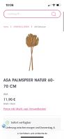 Dekoartikel 2er Set Palmblatt Palmspeer braun 65cm Baden-Württemberg - Malsch Vorschau