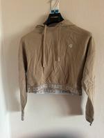 Beauty Hoodie Berlin - Biesdorf Vorschau