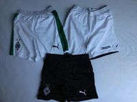 Borussia Mönchengladbach Shorts Fußball je 12 Euro Puma Kappa Nordrhein-Westfalen - Kempen Vorschau