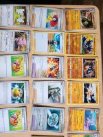 Pokemonkarten 265 Stück Pokemon Mecklenburg-Vorpommern - Neubrandenburg Vorschau