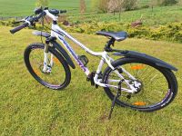 MTB Giant Liv Tempt Mountainbike Hardtail Damen S Rheinland-Pfalz - Düngenheim Vorschau