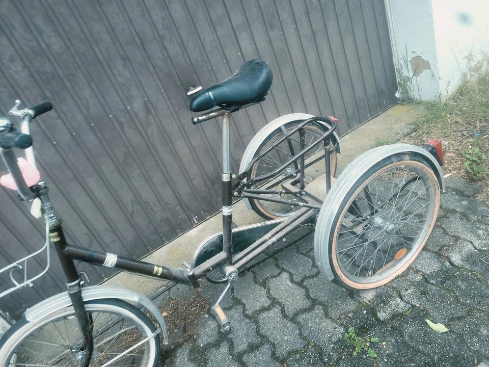 Transport Fahrrad Dreirad Lastenrad Behindertenrad in Roth