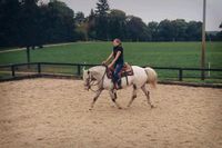 Bootcamp Pferdetraining, Urlaub mit eigenem Pferd, Beritt Sachsen - Liebstadt Vorschau