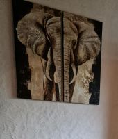 Bild mit Elefantenmotiv Nordrhein-Westfalen - Zülpich Vorschau