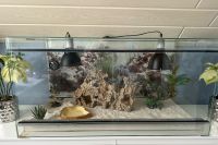 Terrarium für Reptilien Hessen - Mühlheim am Main Vorschau