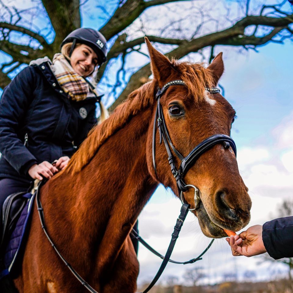 Fotograf Norddeutschland | dein individueller Foto Termin in Elmshorn