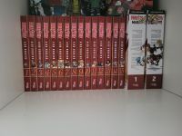 Fairy tail mangas 1-15/ dicke Bände 1/2 Bielefeld - Stieghorst Vorschau