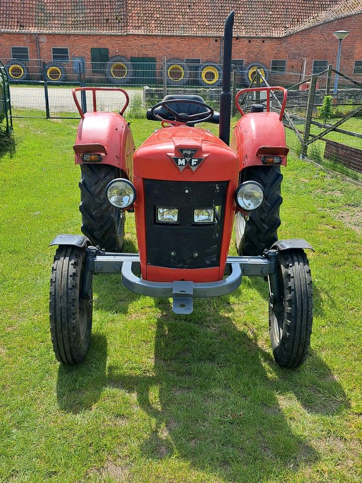 Massey Ferguson  " MF 25 " in Sterley