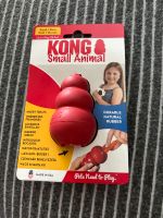 KONG S Small Animal Leckerlie- und Kauspielzeug für kleine Hunde Hessen - Großalmerode Vorschau