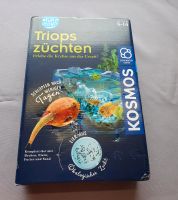 Kosmos Triops züchten Bayern - Naila Vorschau