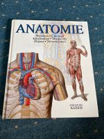 Anatomie Atlas Niedersachsen - Holtgast Vorschau