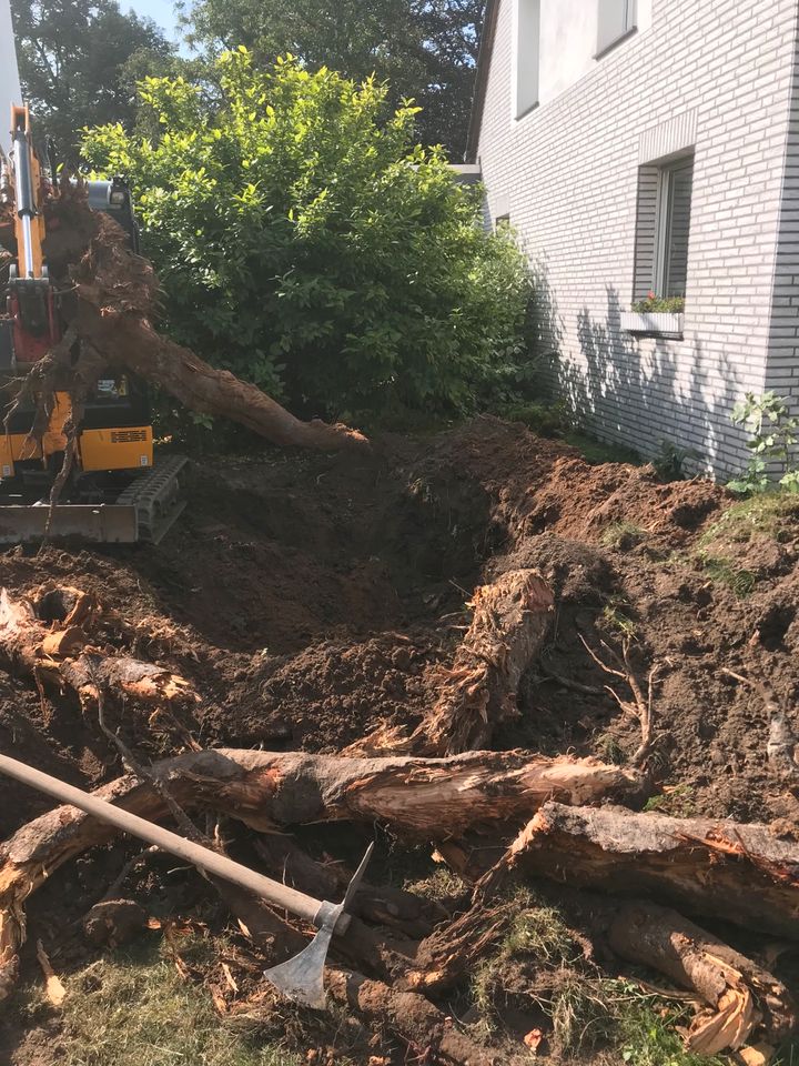 Pflasterarbeiten,Baggerarbeiten,Zaunarbeiten,Gartenarbeiten in Düsseldorf