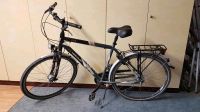 Herrenfahrrad Uno 8  28 Zoll Hercules schwarz Bayern - Heroldsbach Vorschau