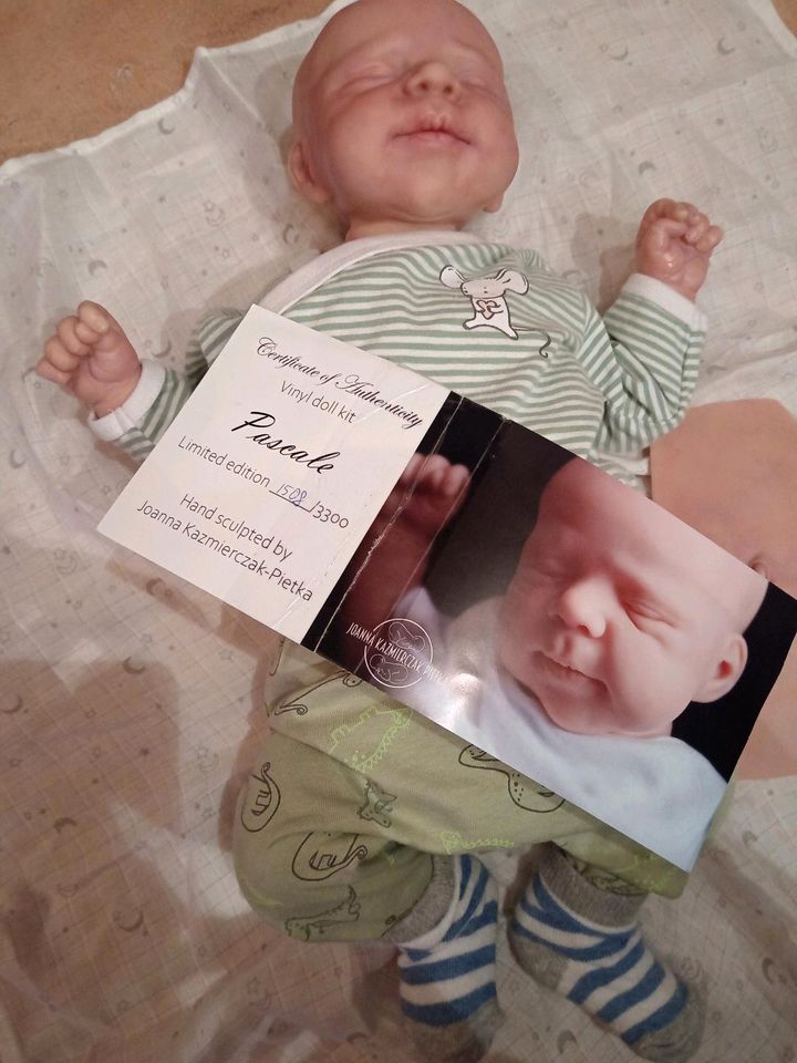 Reborn baby toddler Pascale Johanna Kazmierczak in Arnstein