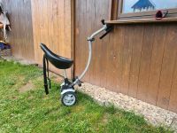 Kinderwagen Geschwisterbeiwagen Sitz Niedersachsen - Ohrum Vorschau