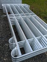 Weidepanel 2,4m 3,0m 3,6m Longierzirkel Texasgitter Roundpen Niedersachsen - Wunstorf Vorschau