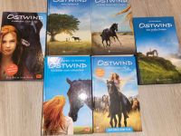 Bücher Ostwind Schleswig-Holstein - Kropp Vorschau