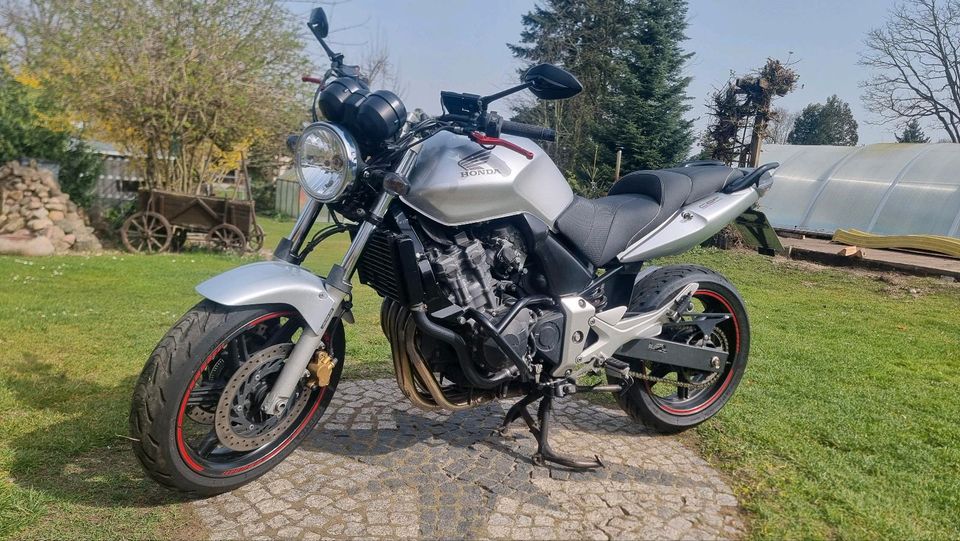 Honda CBF 600 in Fürstenwalde (Spree)